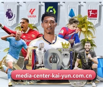 media-center-kai-yun.com.cn APP | kaiyun